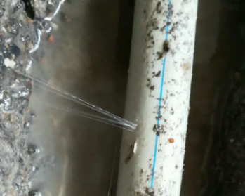 紫云卫生间测漏水多少钱