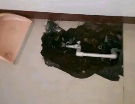 紫云卫生间测漏水多少钱
